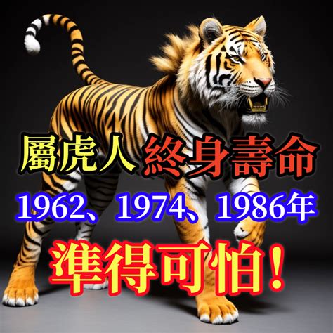 1986 屬虎|揭秘：1986肖虎人一生中的三大貴人